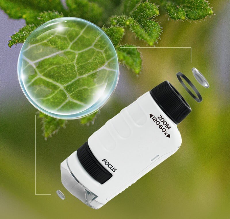 Innovative portable mini microscope for kids with LED light Užsisakykite Trendai.lt