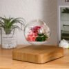 Magnetic Levitating Decoration – Flying Ball With Flower Užsisakykite Trendai.lt 31