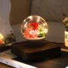 Magnetic Levitating Decoration – Flying Ball With Flower Užsisakykite Trendai.lt 32