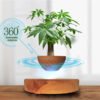 Magnetically Suspended Plant Pot Flying Levitating Vase Užsisakykite Trendai.lt 62