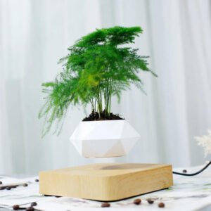 Magnetically Suspended Plant Pot Flying Levitating Vase Užsisakykite Trendai.lt 24