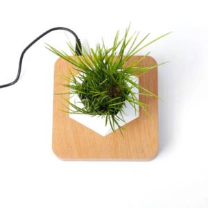 Magnetically Suspended Plant Pot Flying Levitating Vase Užsisakykite Trendai.lt 23