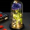 Luminous Rose in Glass Decorative Lamp Užsisakykite Trendai.lt 56