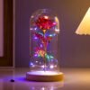 Luminous Rose in Glass Decorative Lamp Užsisakykite Trendai.lt 51