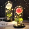 Luminous Rose in Glass Decorative Lamp Užsisakykite Trendai.lt 49