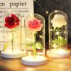 Luminous Rose in Glass Decorative Lamp Užsisakykite Trendai.lt 48