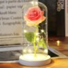 Luminous Rose in Glass Decorative Lamp Užsisakykite Trendai.lt 54