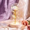 Luminous Rose in Glass Decorative Lamp Užsisakykite Trendai.lt 58