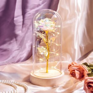 Luminous Rose in Glass Decorative Lamp Užsisakykite Trendai.lt 30