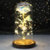 Luminous Rose in Glass Decorative Lamp Užsisakykite Trendai.lt 55