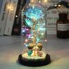 Luminous Rose in Glass Decorative Lamp Užsisakykite Trendai.lt 52